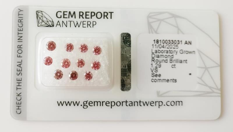 https://cdn.aeman.nl/AE_Hammertime/image/800/800/6f3218b0-7327-4fc6-97b9-98cbb98e4955/jpg