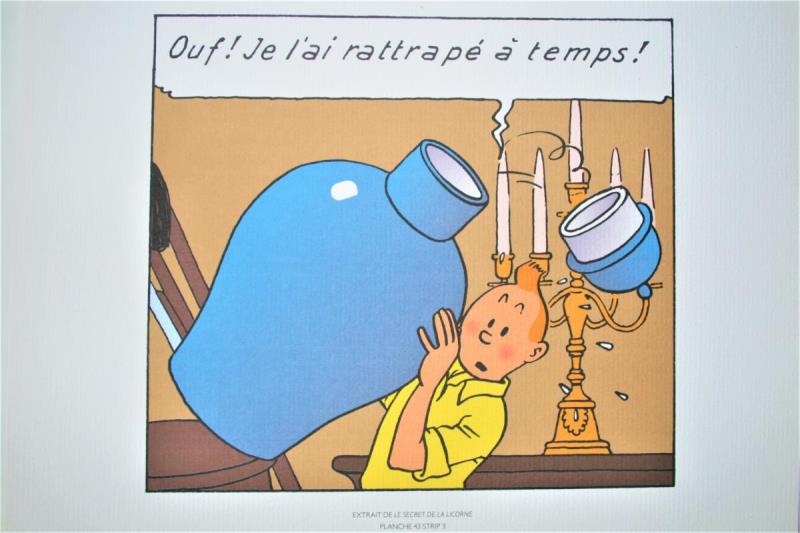 https://cdn.aeman.nl/AE_Hammertime/image/800/800/6f726206-c713-464f-bacf-47c9e059ce93/jpg