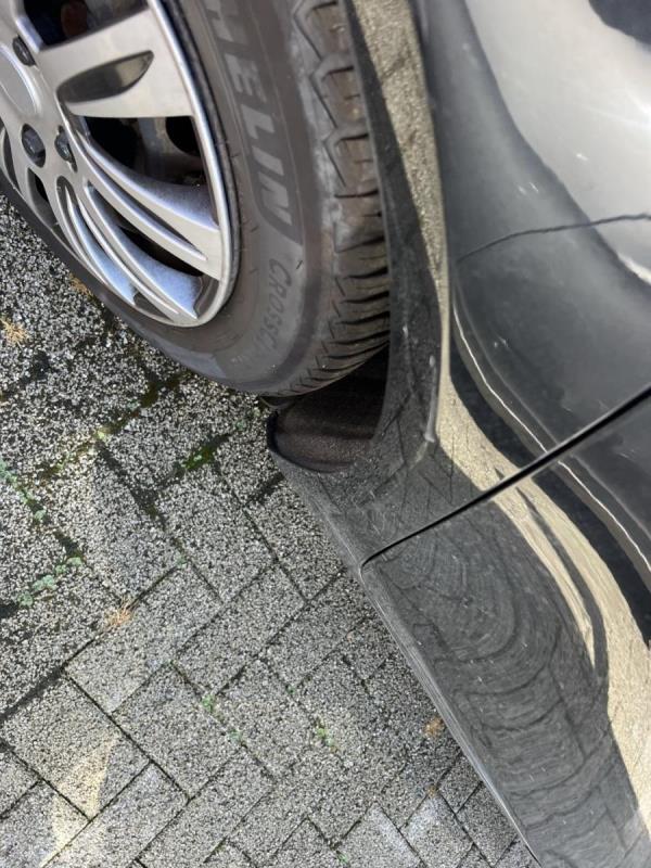 https://cdn.aeman.nl/AE_Hammertime/image/800/800/74210fc1-e5e1-4a3f-bdc9-500dfcb9e99d/jpg