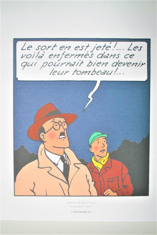 https://cdn.aeman.nl/AE_Hammertime/image/800/800/74ce07e3-047d-4a57-83ac-e6802bd25853/jpg