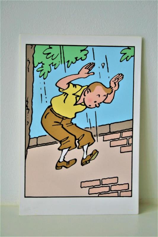 https://cdn.aeman.nl/AE_Hammertime/image/800/800/766878dd-ea23-49d1-80d6-972bbacbdf00/jpg