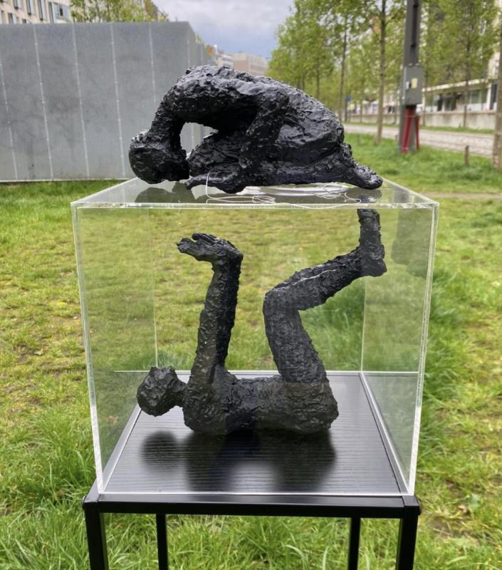 https://cdn.aeman.nl/AE_Hammertime/image/800/800/78e26235-c24d-4fc4-95b8-9250f7599e11/jpg