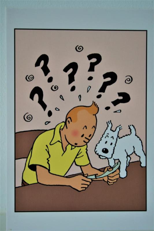 https://cdn.aeman.nl/AE_Hammertime/image/800/800/7b5bf128-b0a5-47ea-896c-21fe5330dc65/jpg