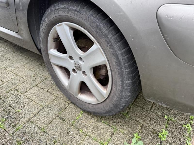 https://cdn.aeman.nl/AE_Hammertime/image/800/800/7c2521ea-3748-4ba4-a088-a4b0981ce4e5/jpg