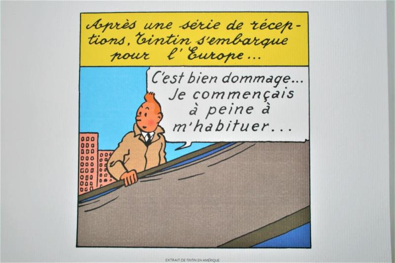 https://cdn.aeman.nl/AE_Hammertime/image/800/800/7e27c642-7091-44c7-a1b8-b9479e7819a2/jpg