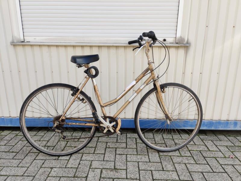 https://cdn.aeman.nl/AE_Hammertime/image/800/800/8056e1e4-1c40-4173-8789-92dbff4495de/jpg