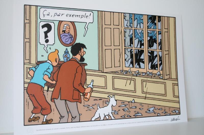 https://cdn.aeman.nl/AE_Hammertime/image/800/800/832faea8-8aa0-41c8-8599-704b4f9da758/jpg
