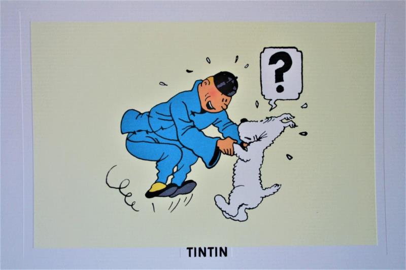 https://cdn.aeman.nl/AE_Hammertime/image/800/800/84f30829-ed89-45c1-a2fd-8762733d613c/jpg