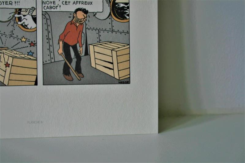 https://cdn.aeman.nl/AE_Hammertime/image/800/800/867db9b0-768b-463f-997b-3c9aa0187a5e/jpg