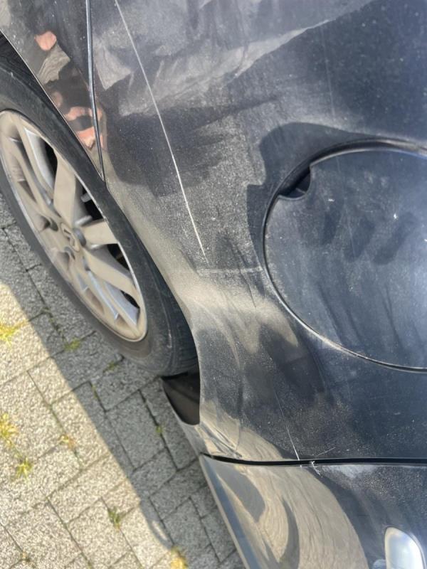 https://cdn.aeman.nl/AE_Hammertime/image/800/800/892bce4c-f8a2-4f77-9978-169f02c950ef/jpg