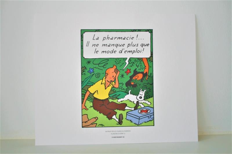 https://cdn.aeman.nl/AE_Hammertime/image/800/800/8c4c36c2-35ff-482b-b832-0e85e67b985f/jpg