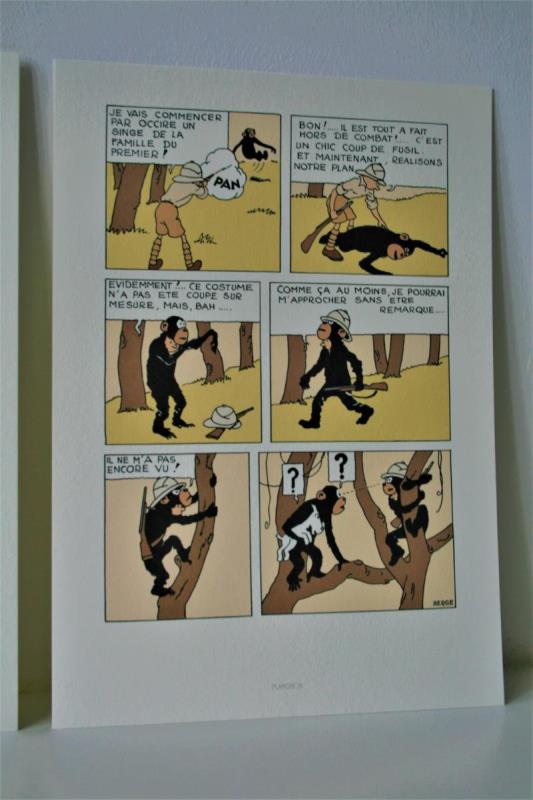 https://cdn.aeman.nl/AE_Hammertime/image/800/800/8d80b9f9-2f0f-460e-94f0-81a6411364cd/jpg