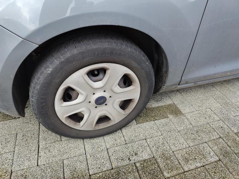 https://cdn.aeman.nl/AE_Hammertime/image/800/800/8e29b4fd-ff07-424b-a977-362310f8c57e/jpg
