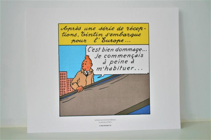 https://cdn.aeman.nl/AE_Hammertime/image/800/800/9210ab0d-72f4-4e4e-91cd-3ea181f9fb92/jpg