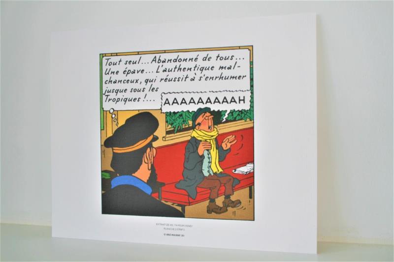 https://cdn.aeman.nl/AE_Hammertime/image/800/800/92674c3b-4412-476d-ab98-4d7aeae2fa40/jpg