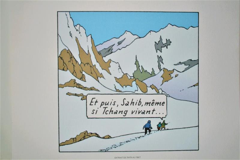 https://cdn.aeman.nl/AE_Hammertime/image/800/800/95035144-3b04-406c-9603-a3925bf643e5/jpg