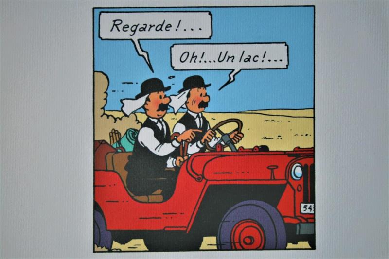 https://cdn.aeman.nl/AE_Hammertime/image/800/800/9b2a74dc-97d6-41b7-9e60-8bbc4d8c8e58/jpg