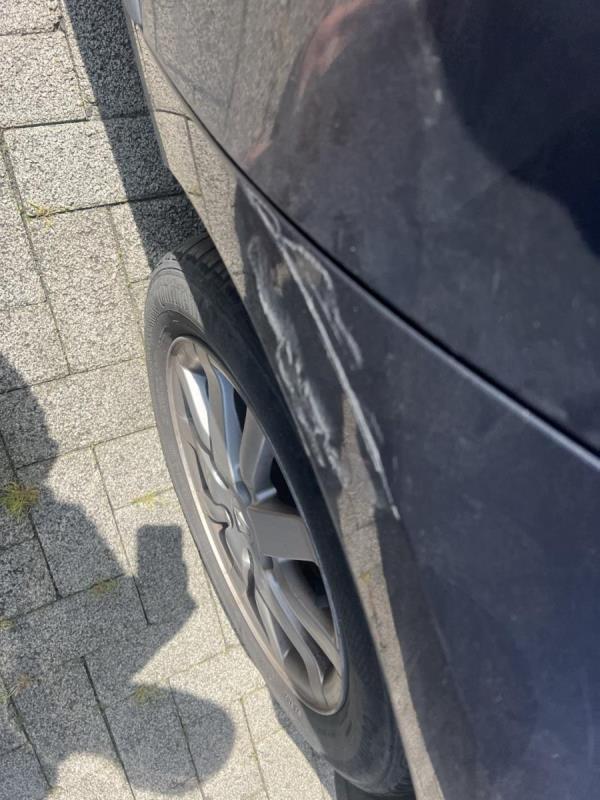 https://cdn.aeman.nl/AE_Hammertime/image/800/800/9b955ffb-df16-4ad2-9ab2-ce45073e67aa/jpg