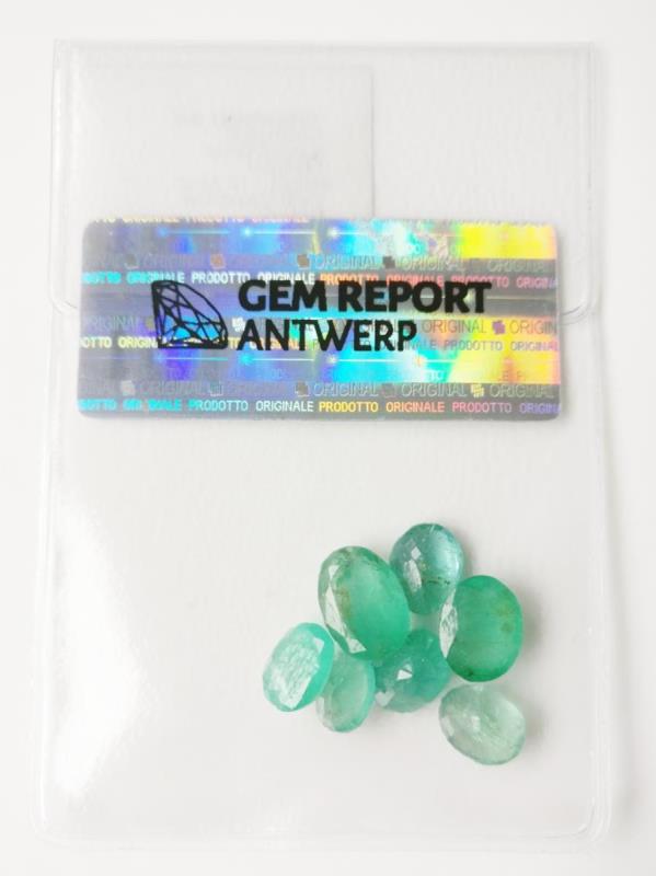 https://cdn.aeman.nl/AE_Hammertime/image/800/800/9bba821a-5357-40ff-b3a0-9fad001e318e/jpg