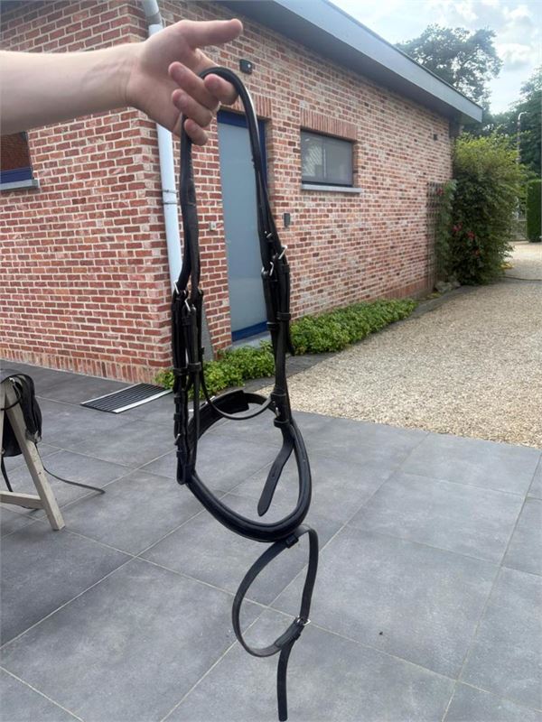 1 Lot Divers Dressuur En Paardrij Materiaal – foto 10 – kavel bij Hammertime