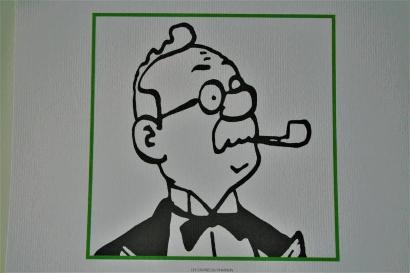 https://cdn.aeman.nl/AE_Hammertime/image/800/800/9e645343-f4b2-4a27-8d8c-574190ca8238/jpg