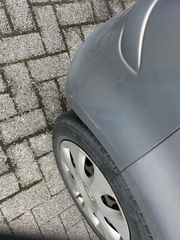 https://cdn.aeman.nl/AE_Hammertime/image/800/800/a012d23e-3ea6-4536-8f0b-8a955d8b6fd5/jpg