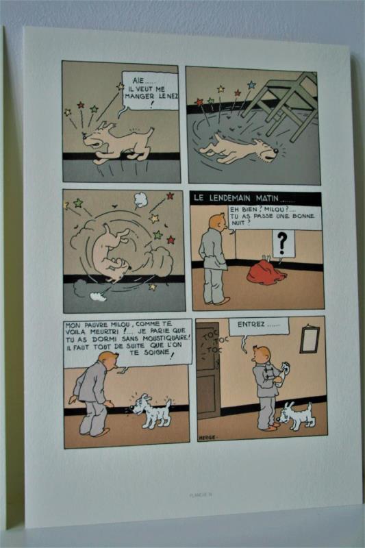 https://cdn.aeman.nl/AE_Hammertime/image/800/800/a1823fb3-efaa-44a4-af8f-e6a079eba699/jpg