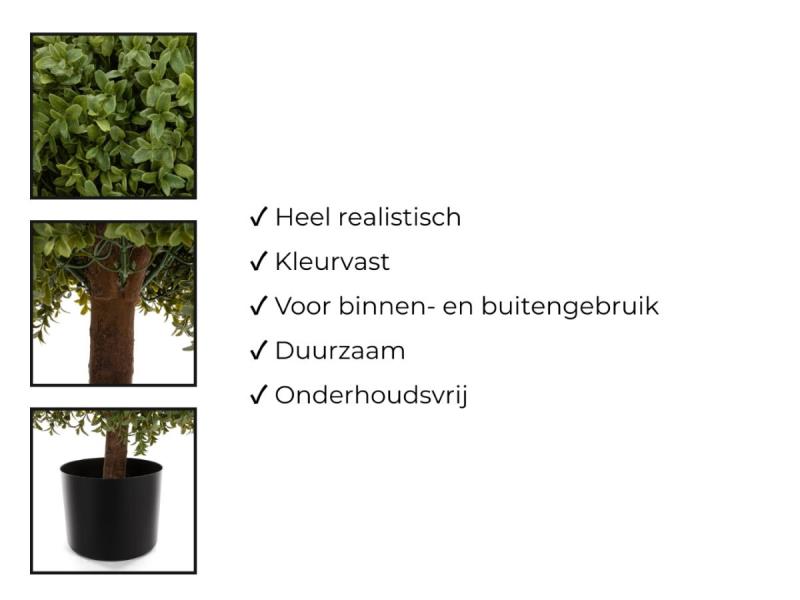 https://cdn.aeman.nl/AE_Hammertime/image/800/800/a20b477f-f5f1-4f7d-8908-c0e86ea096ed/jpg