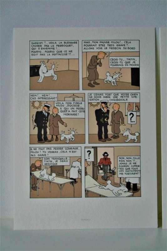 https://cdn.aeman.nl/AE_Hammertime/image/800/800/a22c0089-9020-4a20-a18e-8a5405d41885/jpg