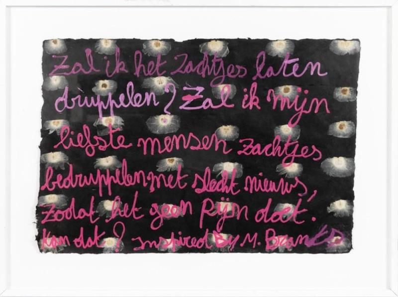 https://cdn.aeman.nl/AE_Hammertime/image/800/800/a42f1655-10ee-494d-9b6c-39ade94e96d5/jpg