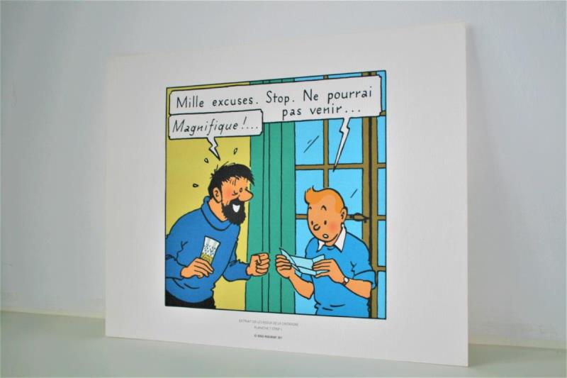 https://cdn.aeman.nl/AE_Hammertime/image/800/800/a52d47a9-64be-4f45-b6de-57993f8f3884/jpg