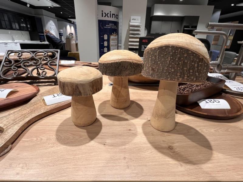 https://cdn.aeman.nl/AE_Hammertime/image/800/800/a6005e28-f6d9-4d76-9fce-4da730252c3c/jpg