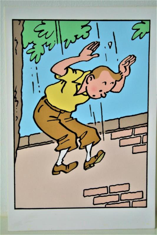 https://cdn.aeman.nl/AE_Hammertime/image/800/800/ab0937af-5f81-4ef9-9a70-8660dfd4ca4f/jpg