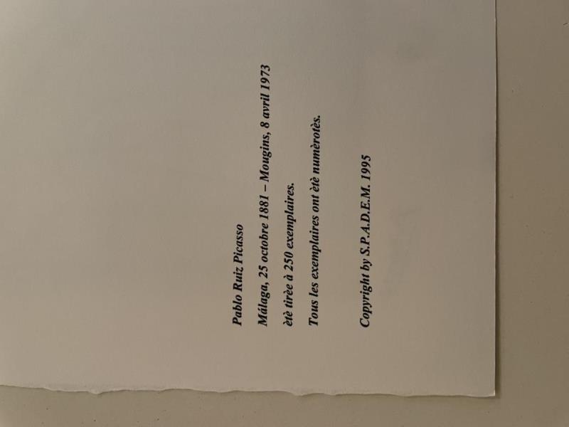 https://cdn.aeman.nl/AE_Hammertime/image/800/800/ac6a5017-1aff-4b46-b739-cd4b88fae5f7/jpg