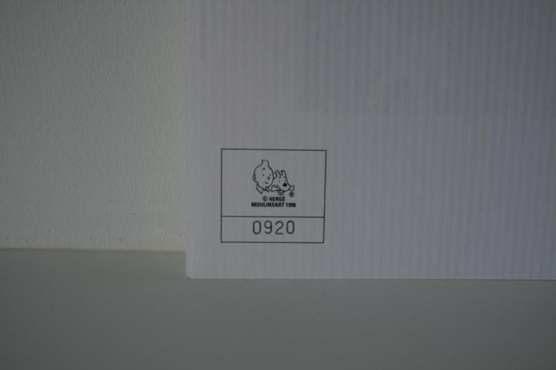 https://cdn.aeman.nl/AE_Hammertime/image/800/800/ad201817-38c3-4b1e-830f-5873e4ba3884/jpg