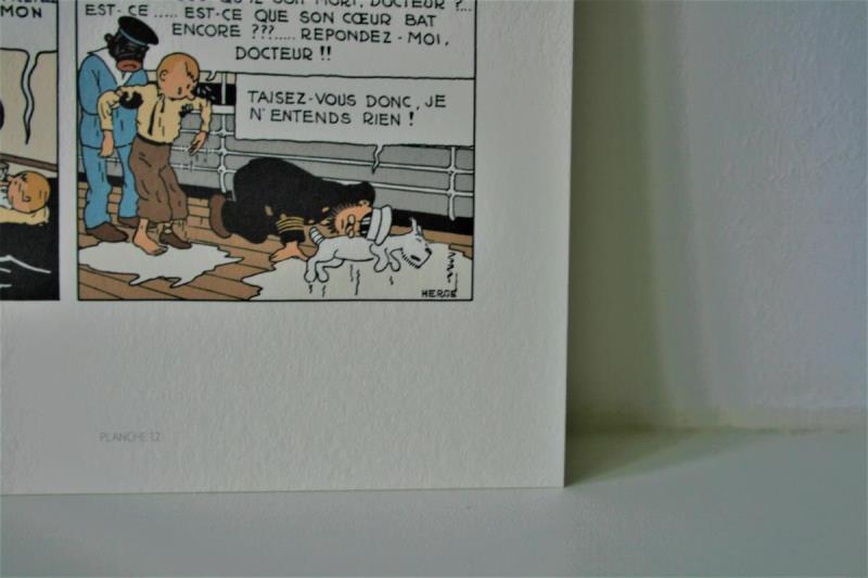https://cdn.aeman.nl/AE_Hammertime/image/800/800/aeb0e235-a02e-496a-9f48-43516f943143/jpg