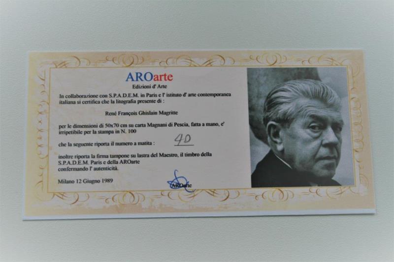 https://cdn.aeman.nl/AE_Hammertime/image/800/800/b193784e-196d-4697-b94f-d5ca5e872aef/jpg