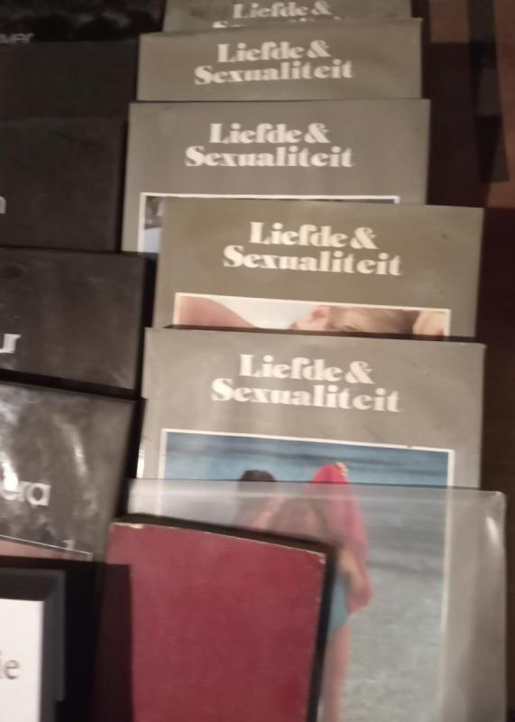 https://cdn.aeman.nl/AE_Hammertime/image/800/800/b2daf3a1-fc31-41ed-9dfc-032ca501cf2d/jpg