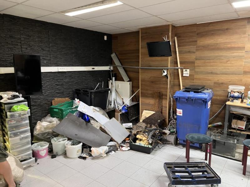 https://cdn.aeman.nl/AE_Hammertime/image/800/800/b300dc4d-1b92-41e0-935f-fde4aa5ebb95/jpg