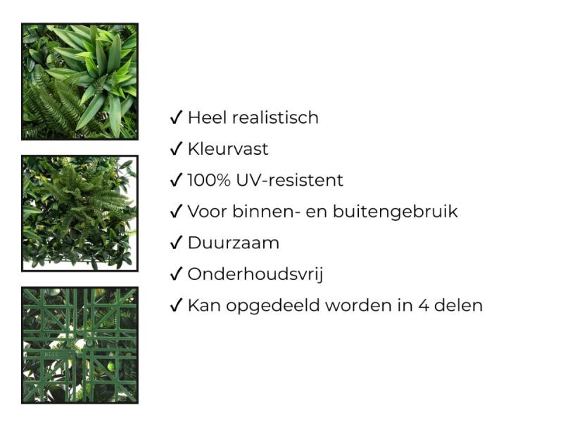 https://cdn.aeman.nl/AE_Hammertime/image/800/800/b3dac0c3-0fea-4ea5-ac76-ab3ecbf7b783/jpg