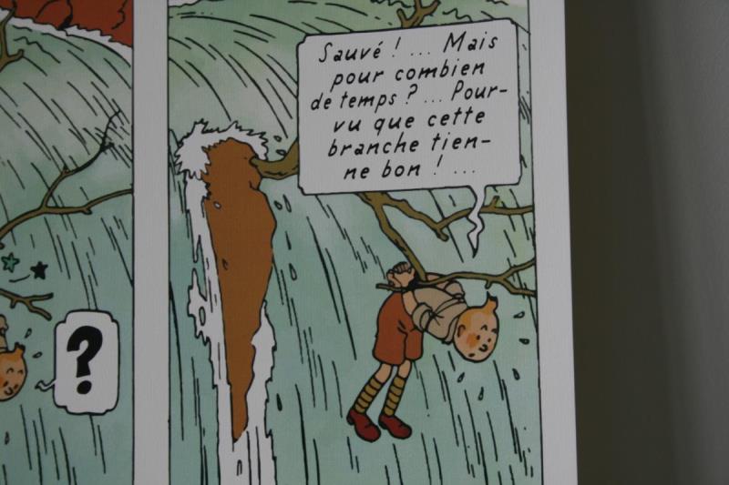 https://cdn.aeman.nl/AE_Hammertime/image/800/800/b42e5d83-4b45-42b6-8ec9-047fba16661b/jpg