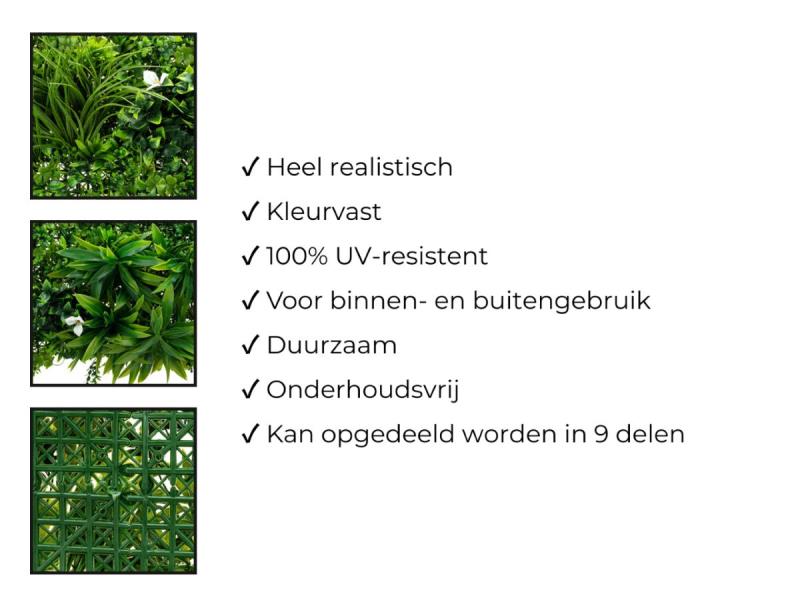 https://cdn.aeman.nl/AE_Hammertime/image/800/800/b5dd9448-9ce7-459c-b559-da7ef5025de0/jpg