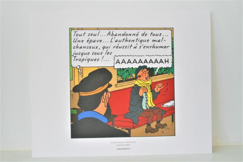 https://cdn.aeman.nl/AE_Hammertime/image/800/800/be709570-bb65-4f7d-9490-b5c86ea03449/jpg