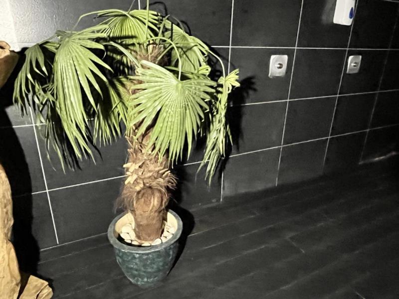 https://cdn.aeman.nl/AE_Hammertime/image/800/800/bea75357-382e-4978-8f23-abd432ba7add/jpg