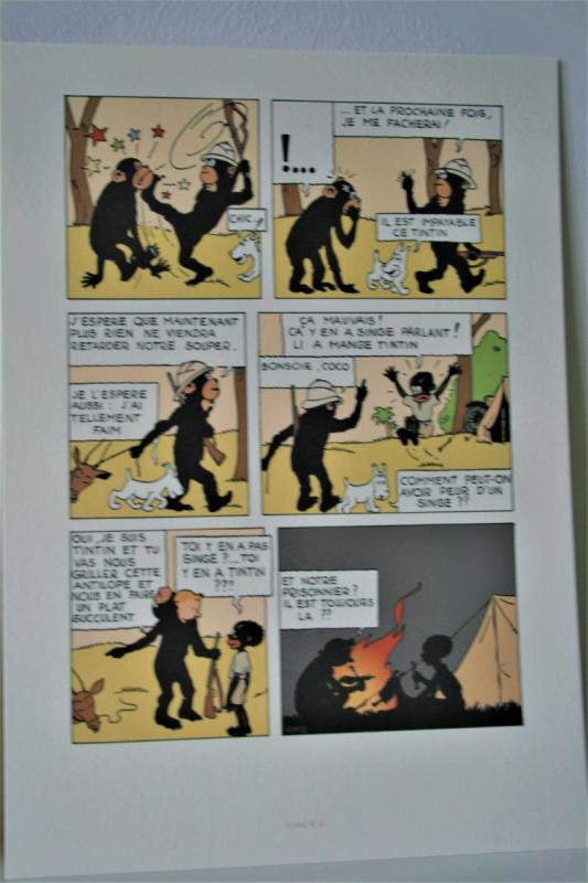 https://cdn.aeman.nl/AE_Hammertime/image/800/800/c0859086-ea29-460b-9036-13f57f84ecf4/jpg