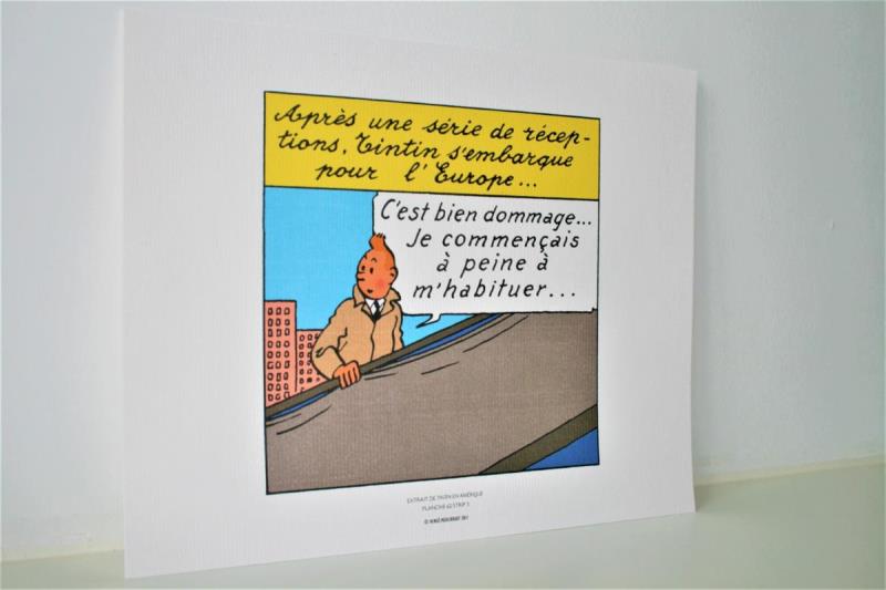 https://cdn.aeman.nl/AE_Hammertime/image/800/800/c0b978f8-e0c3-4996-af81-d5ef5effdaf0/jpg