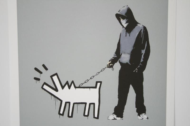 https://cdn.aeman.nl/AE_Hammertime/image/800/800/c4a17121-33e0-45c1-a895-6a69e8575d89/jpg