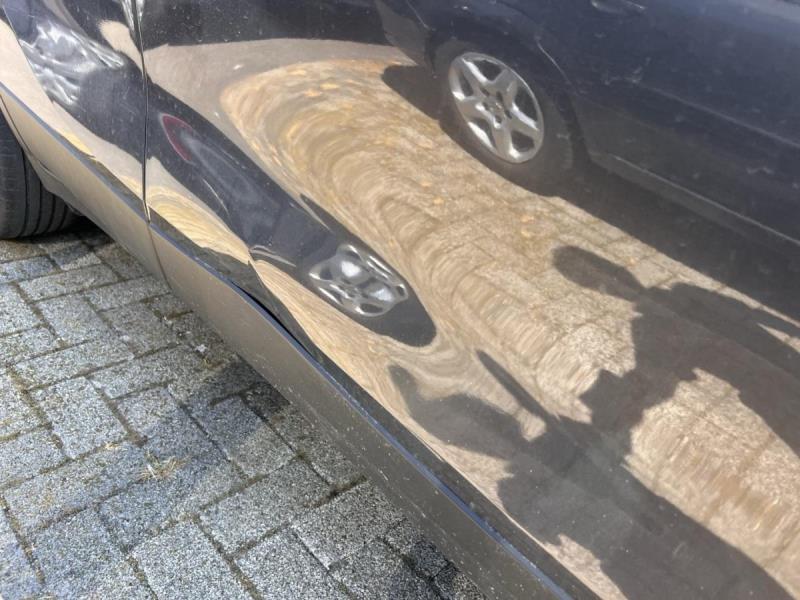 https://cdn.aeman.nl/AE_Hammertime/image/800/800/c4e3498e-42d2-4785-87c4-06e6ec0d6d1b/jpg