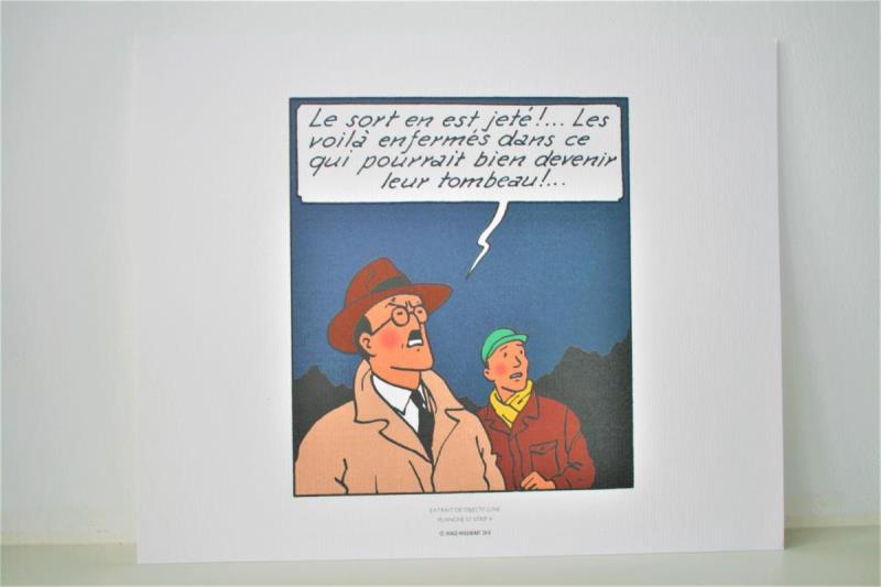 https://cdn.aeman.nl/AE_Hammertime/image/800/800/c669f99e-a9c0-4648-81fb-dcf6957e922c/jpg
