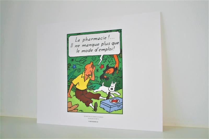 https://cdn.aeman.nl/AE_Hammertime/image/800/800/c78578e1-94fc-4267-affe-4200d0e8bf7c/jpg